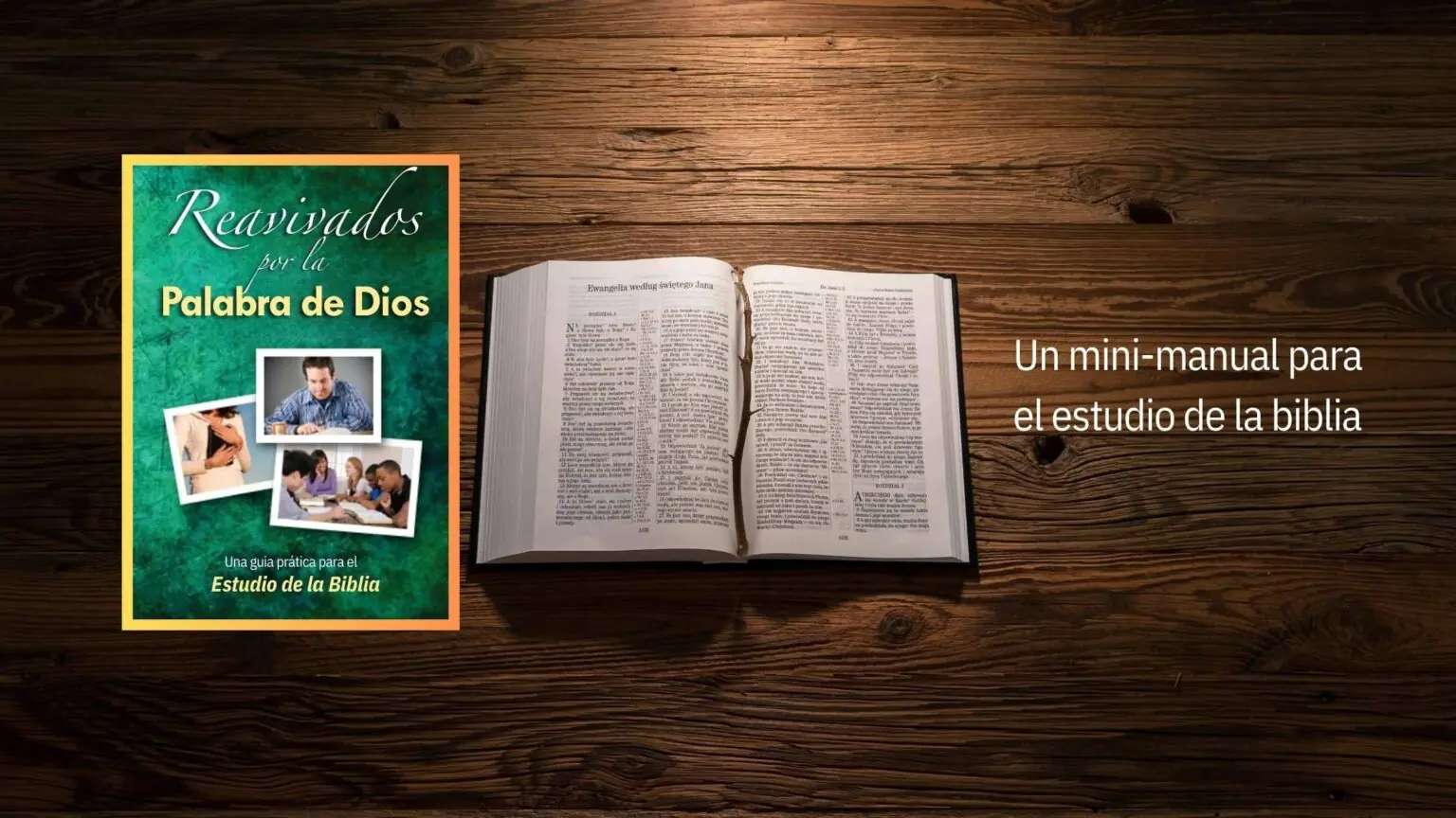 Reavivados por la Palabra de Dios – Un mini-manual para el estudio de la biblia